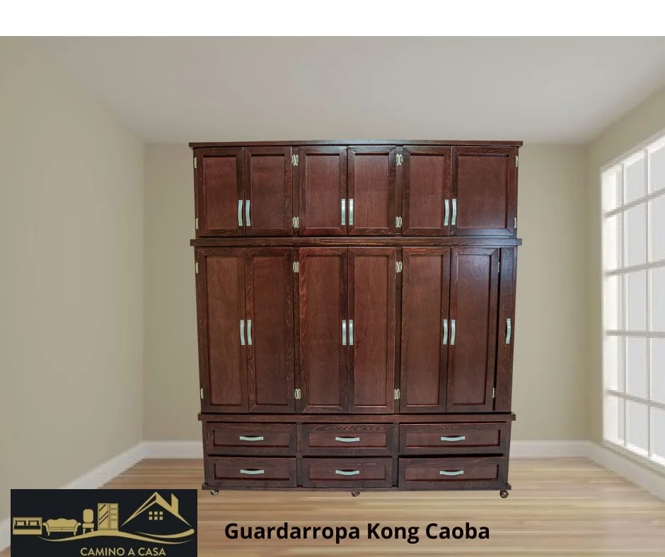 Guardarropa Kong